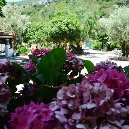 Spiros Rooms Panormos  Exterior foto