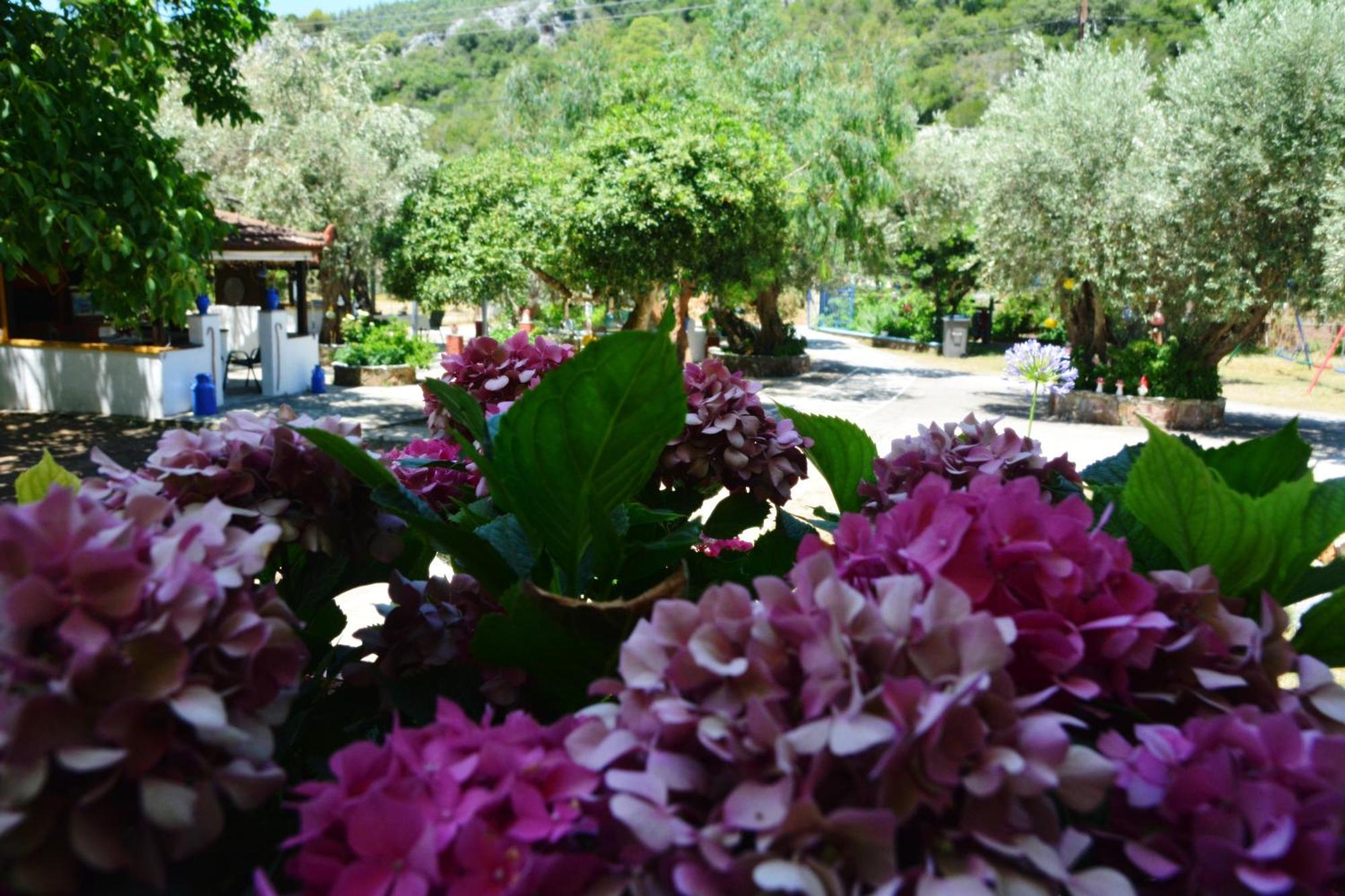 Spiros Rooms Panormos  Exterior foto